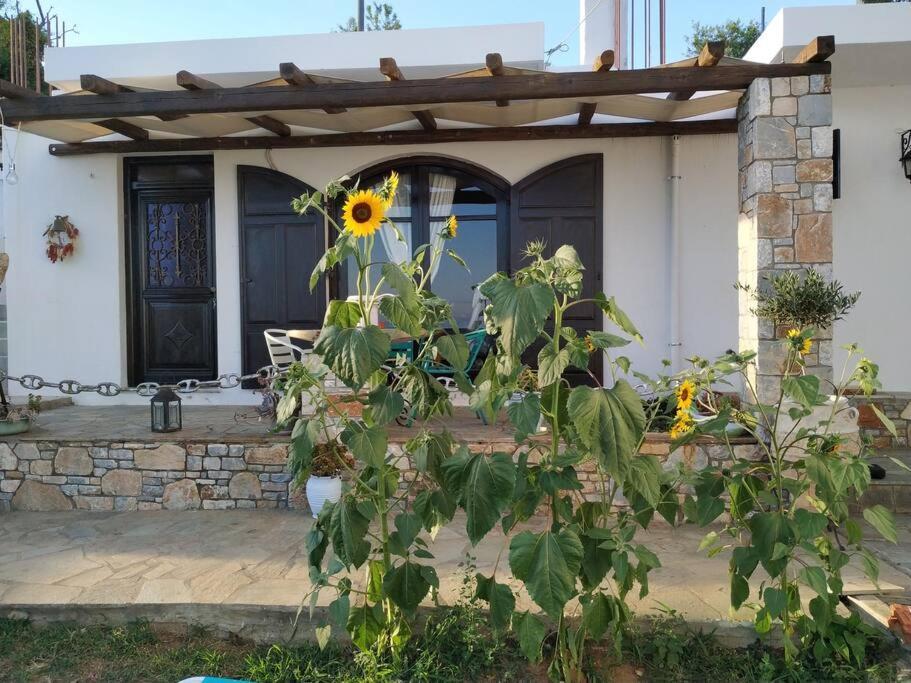 Orfeas Hoyse 1 Ferienhaus *